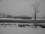 20090109-0721-56