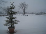 20090109-0723-12