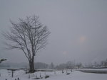20090109-0723-35