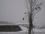 20090109-0729-26