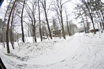 20090109-0812-51