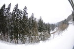 20090109-1541-48