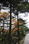 20091009-1624-25