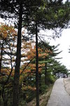 20091009-1624-33