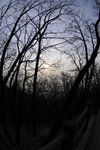 20090106-1516-07