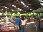 20070329-1312-48
