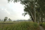 20061118-1548-56