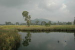 20061118-1550-34
