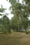 20061118-1551-34