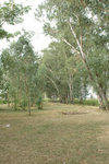 20061118-1551-42