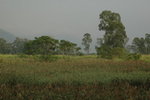 20061118-1558-58