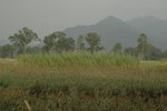 20061118-1559-06