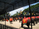 20080505-1116-30