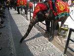 20080505-1117-18