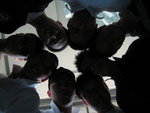 20080506-1049-42