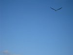 20071226-0916-40