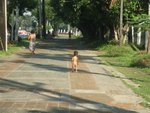 20071230-0822-42