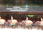 20080505-1212-30