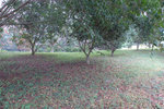 20051231-1409-06