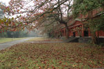 20051231-1422-06