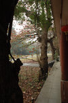20051231-1423-42