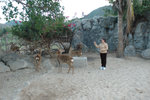 20060101-1800-42