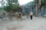 20060101-1800-46