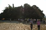 20051009-1545-24