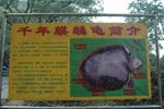 20051012-1618-56