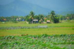 20100919-0848-52