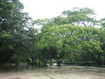 20060505-1224-26