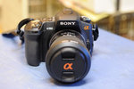 DSC_9249s