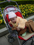 DSCN0527