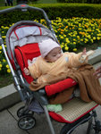 DSCN0528