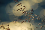 DSC_0059as