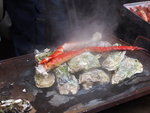 P1010190