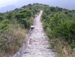 PICT1935