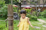 DSC06666