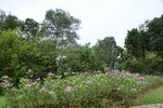 DSC06689