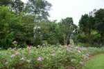 DSC06690