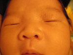 Day 13 SANY0024 (9)