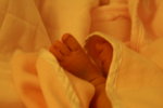 PICT0014