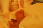 PICT0015