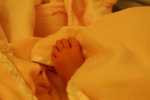PICT0016