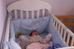PICT0610