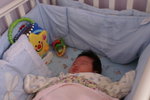 PICT0619