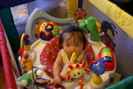 PICT7651