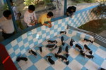DSC06147