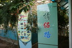 DSC06156