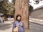 PICT0049